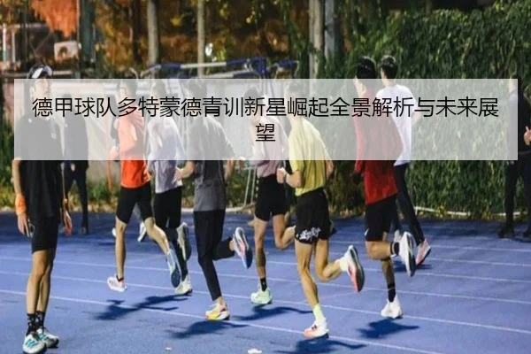 德甲球队多特蒙德青训新星崛起全景解析与未来展望